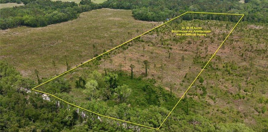 Land in Live Oak, Florida № 1657874