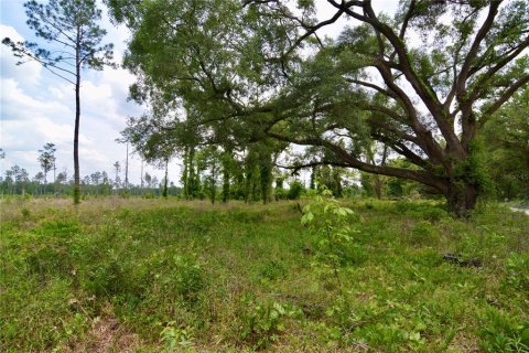 Land in Live Oak, Florida № 1657874 - photo 9