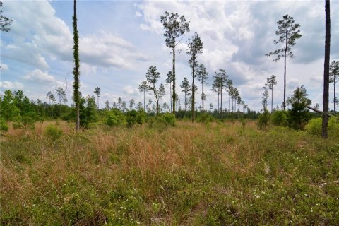 Land in Live Oak, Florida № 1657874 - photo 16