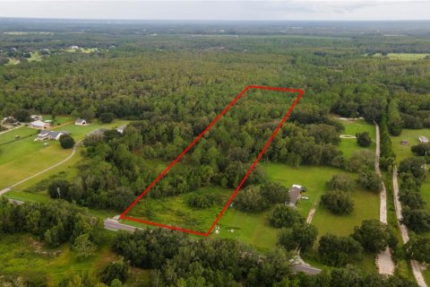 Terreno en venta en Clermont, Florida № 1913874 - foto 9