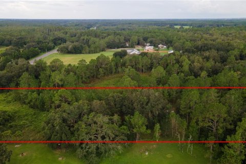 Terreno en venta en Clermont, Florida № 1913874 - foto 3