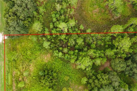 Terreno en venta en Clermont, Florida № 1913874 - foto 6