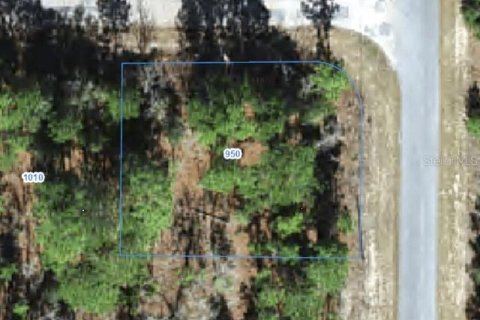 Land in Citrus Springs, Florida № 2388280