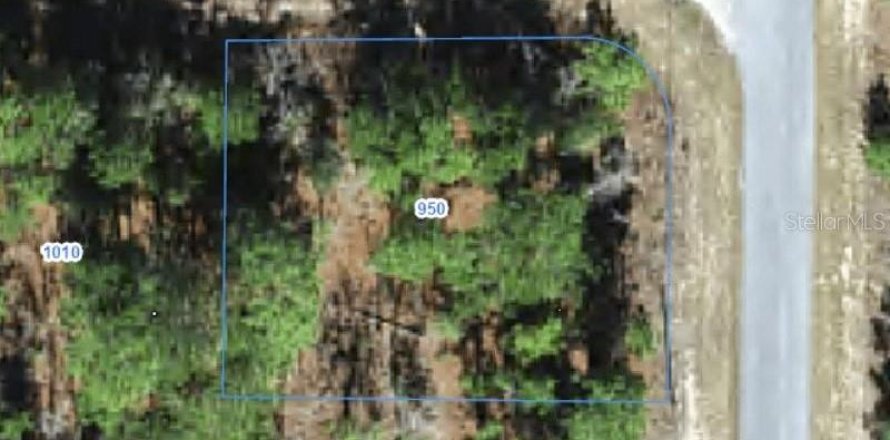 Land in Citrus Springs, Florida № 2388280