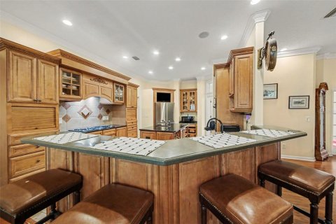 Villa ou maison à vendre à Leesburg, Floride: 3 chambres, 279.08 m2 № 2389288 - photo 16