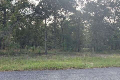 Land in Morriston, Florida № 2208188 - photo 3