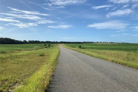 Land in Morriston, Florida № 2208188
