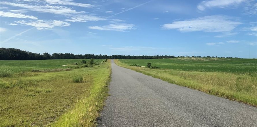 Land in Morriston, Florida № 2208188