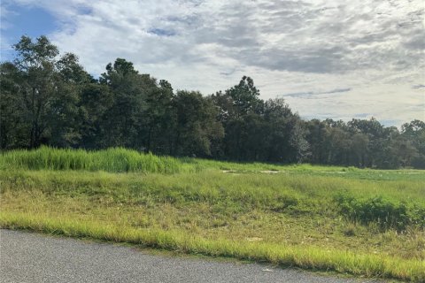 Land in Morriston, Florida № 2208188 - photo 2