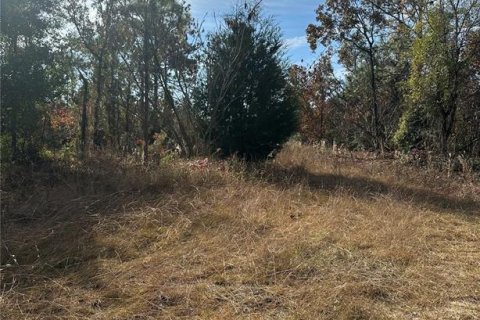 Land in Williston, Florida № 2162636
