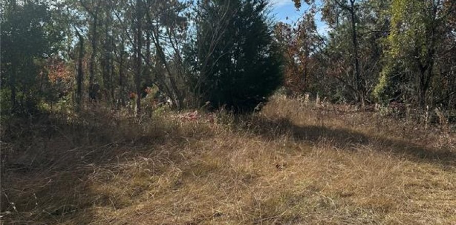 Land in Williston, Florida № 2162636