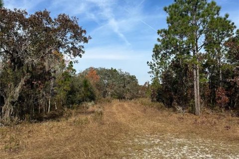 Land in Williston, Florida № 2162636 - photo 5