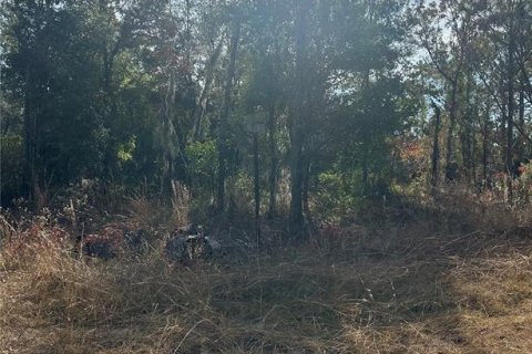 Land in Williston, Florida № 2162636 - photo 2