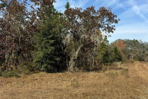Land in Williston, Florida № 2162636 - photo 3