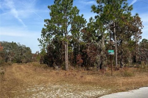 Land in Williston, Florida № 2162636 - photo 4