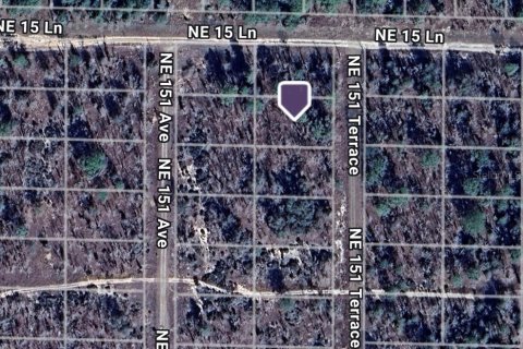 Land in Williston, Florida № 2162636 - photo 6