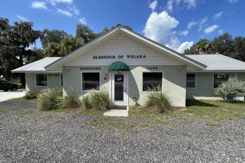 Immobilier commercial à louer à Welaka, Floride: 200.67 m2 № 829585 - photo 1