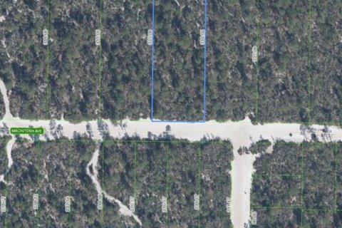 Land in Sebring, Florida № 2161530