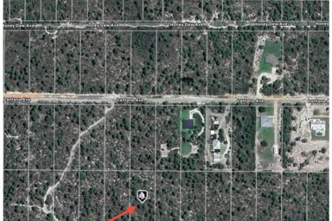 Land in Sebring, Florida № 2161530 - photo 5