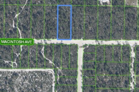 Land in Sebring, Florida № 2161530 - photo 2