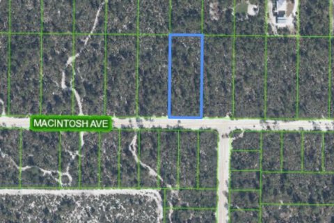 Land in Sebring, Florida № 2161530 - photo 3
