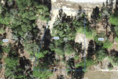 Land in Citrus Springs, Florida № 2388259
