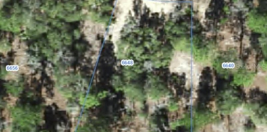 Land in Citrus Springs, Florida № 2388259