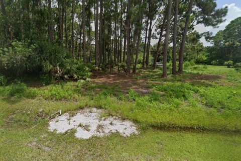 Land in Port Charlotte, Florida № 2160426 - photo 3