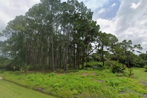 Land in Port Charlotte, Florida № 2160426