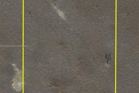 Immobilier commercial à vendre à Homestead, Floride № 1962012 - photo 2