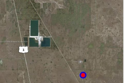 Immobilier commercial à vendre à Homestead, Floride № 1962012 - photo 4