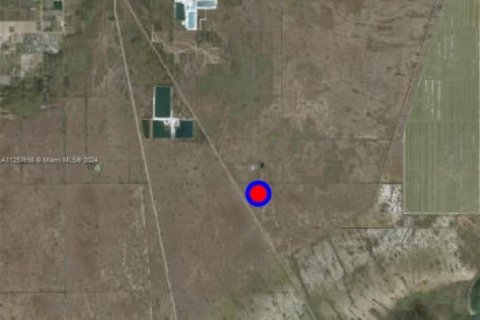 Immobilier commercial à vendre à Homestead, Floride № 1962012 - photo 3