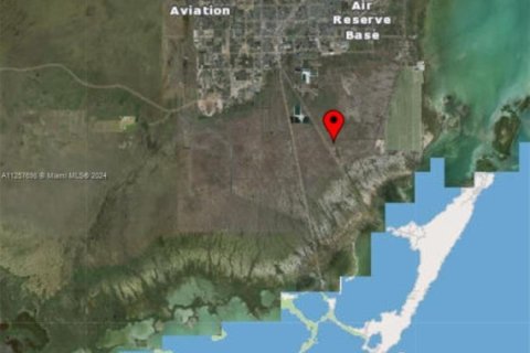 Immobilier commercial à Homestead, Floride № 1962012