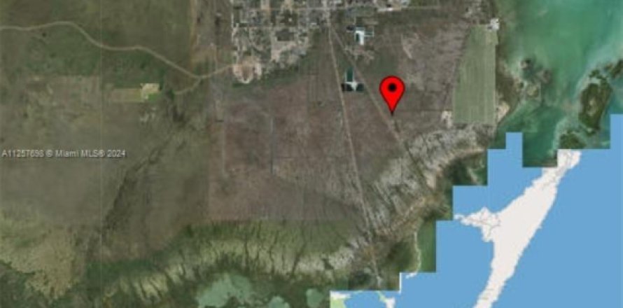 Immobilier commercial à Homestead, Floride № 1962012