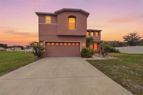 Villa ou maison à vendre à Riverview, Floride: 4 chambres, 328.32 m2 № 2407092 - photo 2