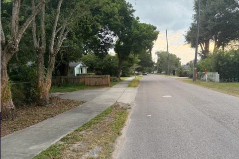 Terreno en venta en Orlando, Florida № 1851060 - foto 3