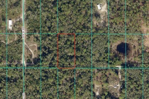 Land in Dunnellon, Florida № 2165263