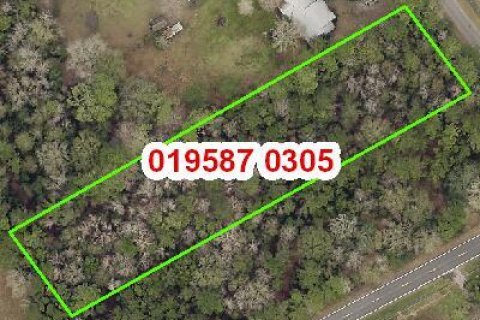 Land in Jacksonville, Florida № 765824 - photo 1