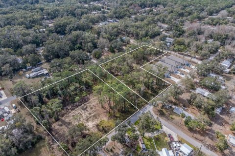 Propiedad comercial en venta en Crystal River, Florida № 2118416 - foto 4