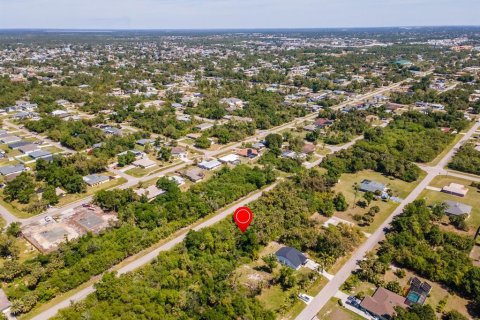 Land in Port Charlotte, Florida № 2158771 - photo 12