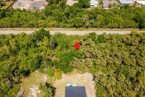Land in Port Charlotte, Florida № 2158771 - photo 6