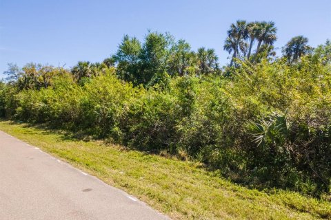 Land in Port Charlotte, Florida № 2158771 - photo 11