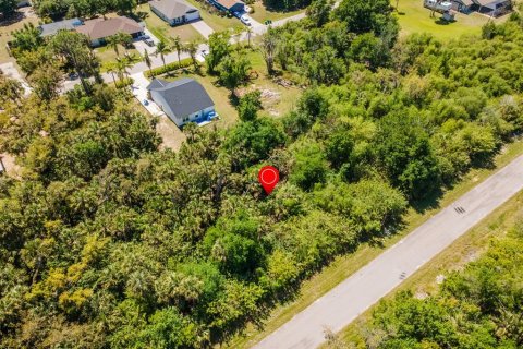 Land in Port Charlotte, Florida № 2158771 - photo 9