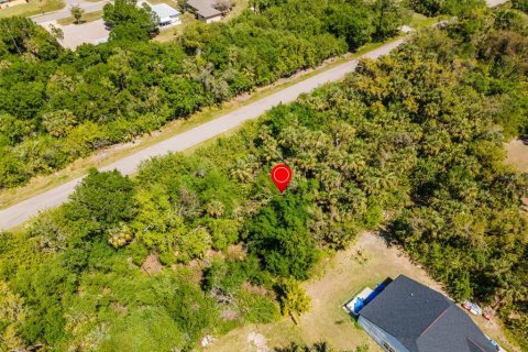 Land in Port Charlotte, Florida № 2158771 - photo 5