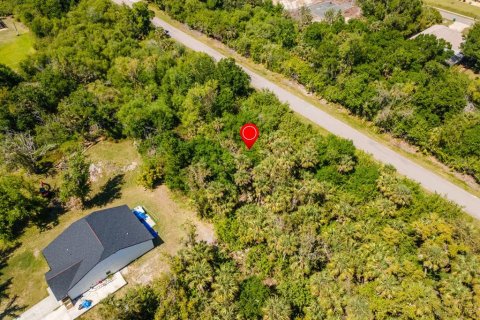 Land in Port Charlotte, Florida № 2158771 - photo 7