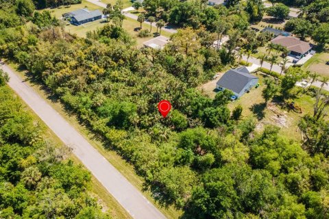 Land in Port Charlotte, Florida № 2158771 - photo 4