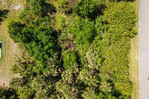 Land in Port Charlotte, Florida № 2158771 - photo 10