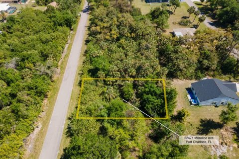 Land in Port Charlotte, Florida № 2158771 - photo 2