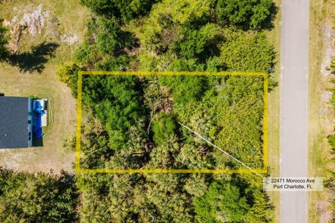 Land in Port Charlotte, Florida № 2158771 - photo 3