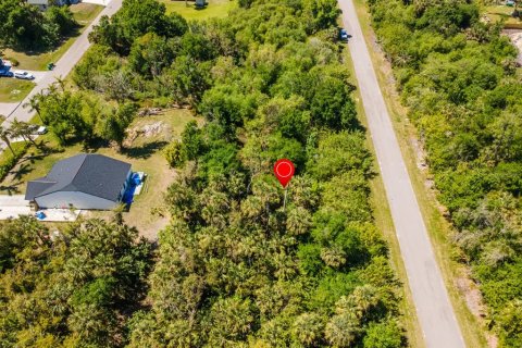 Land in Port Charlotte, Florida № 2158771 - photo 8